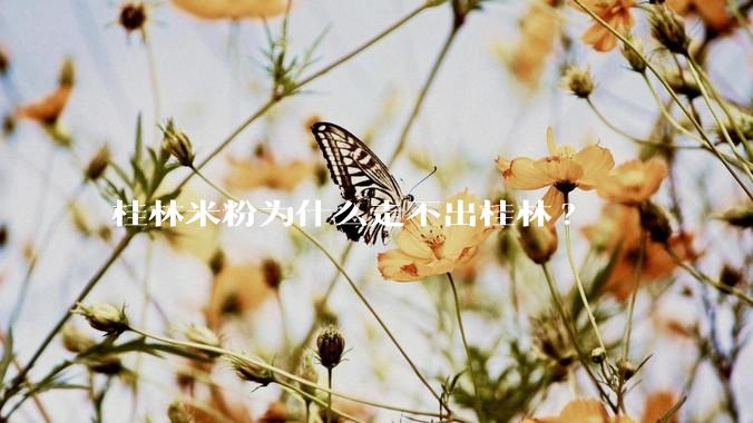 桂林米粉为什么走不出桂林?