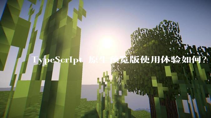 TypeScript 原生预览版使用体验如何？