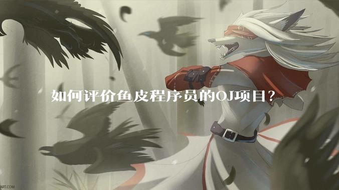 如何评价鱼皮程序员的OJ项目？