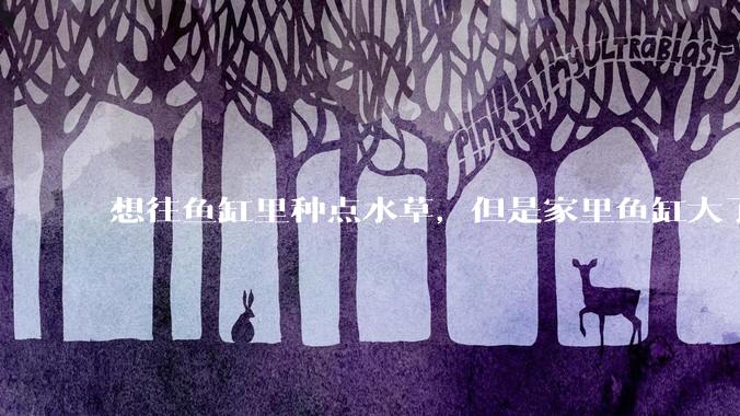 想往鱼缸里种点水草，但是家里鱼缸大了买水草泥或者底砂太贵了，有没有生活中可以替代的物品或其他建议？