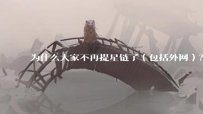 为什么大家不再提星链了（包括外网）？