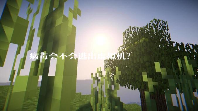 病毒会不会逃出虚拟机？