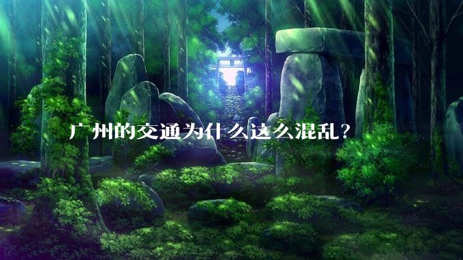 广州的交通为什么这么混乱？