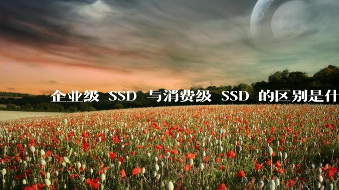企业级 SSD 与消费级 SSD 的区别是什么？