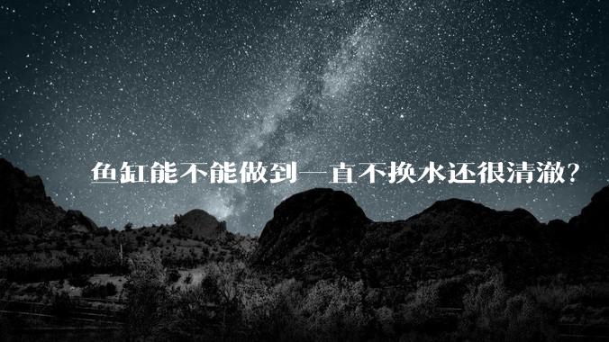 鱼缸能不能做到一直不换水还很清澈？