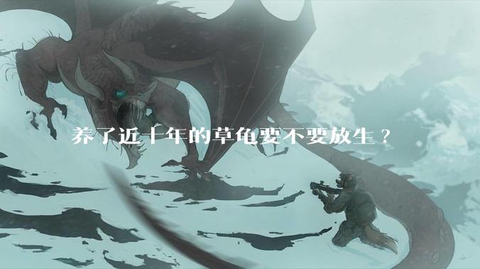 养了近十年的草龟要不要放生?
